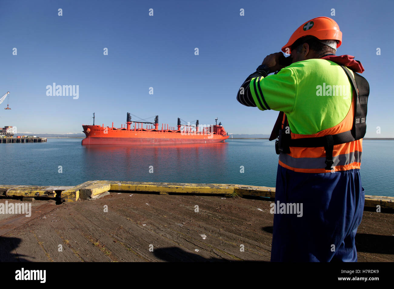 Ein Schiffsbelader schaut durch ein Fernglas auf ein Schiff kommen, um Port Nelson Stockfoto