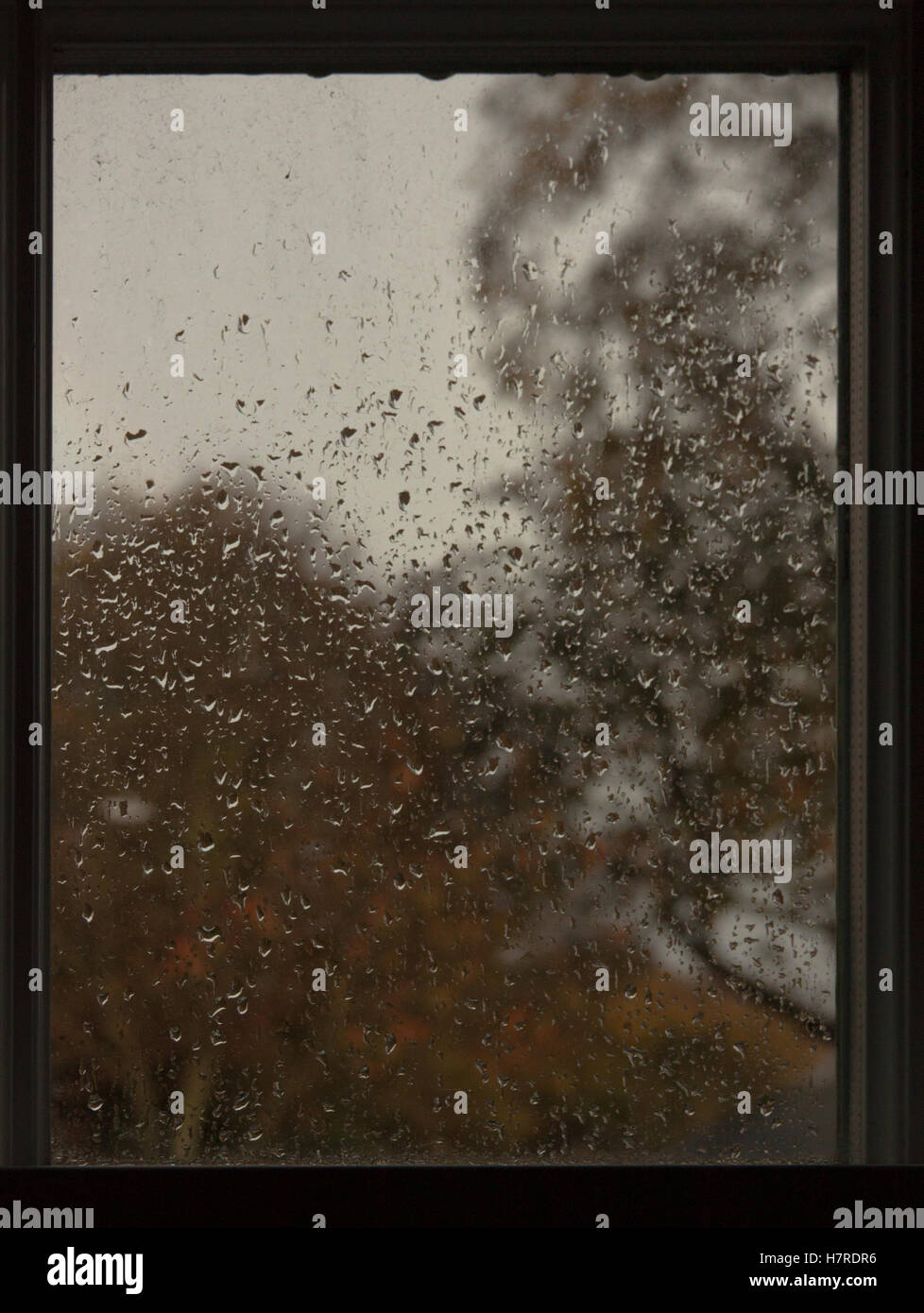 Britisches Englisch Wetter regnerischen Herbsttag durch georgische Schiebefenster in Marktstadt betrachtet. Stockfoto