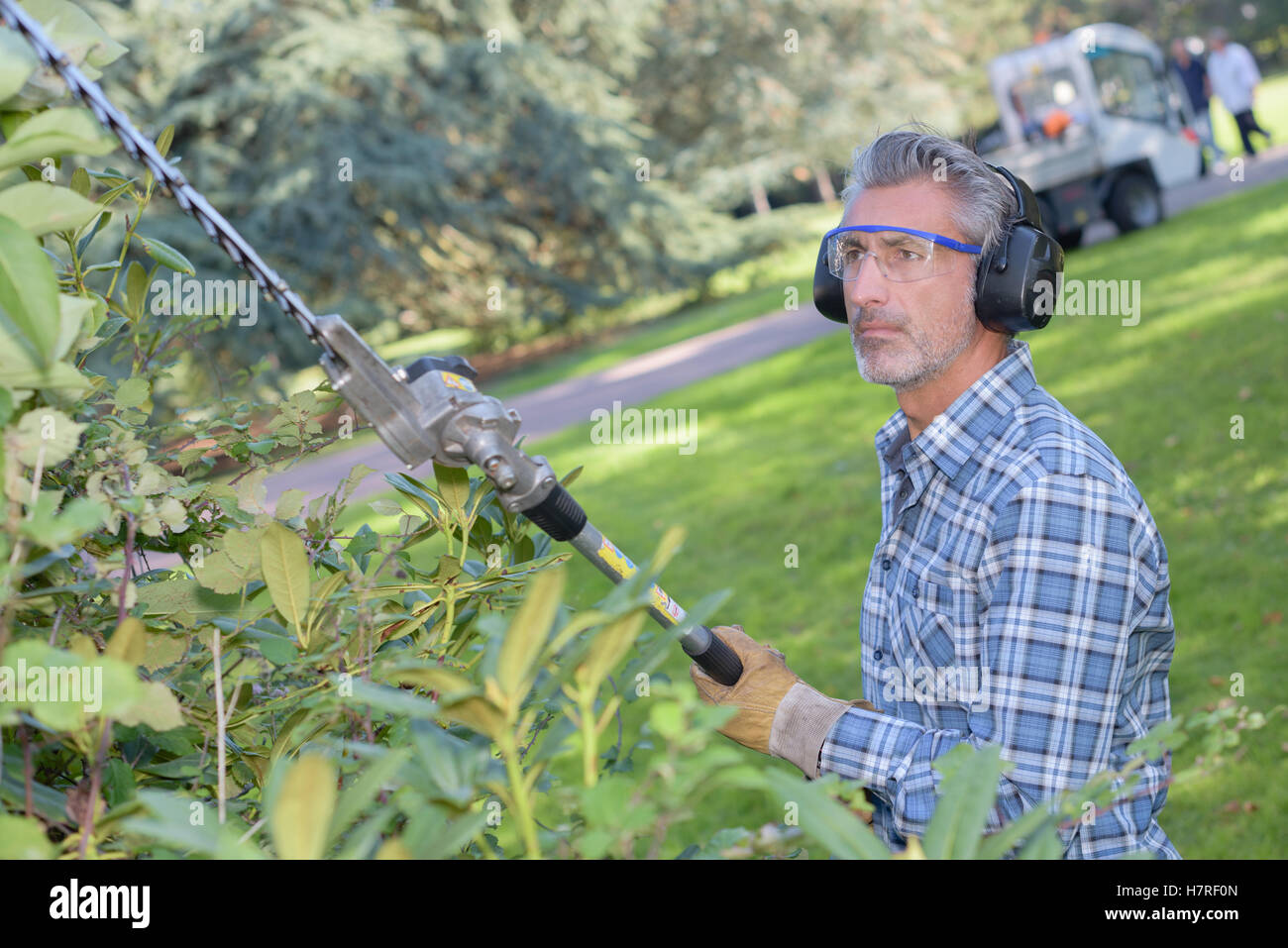 Hedge cutter Fotos und Bildmaterial in hoher Auflösung Alamy