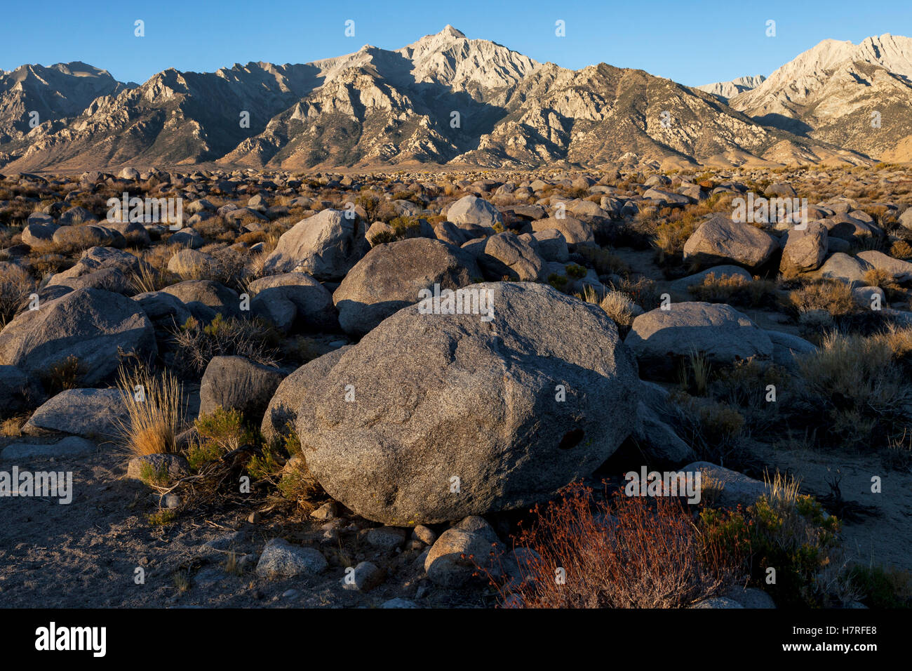 Sonnenaufgang am Mount Williamson im kalifornischen Eastern Sierra Nevada in der Nähe von Manzanar Relocation Center. Stockfoto