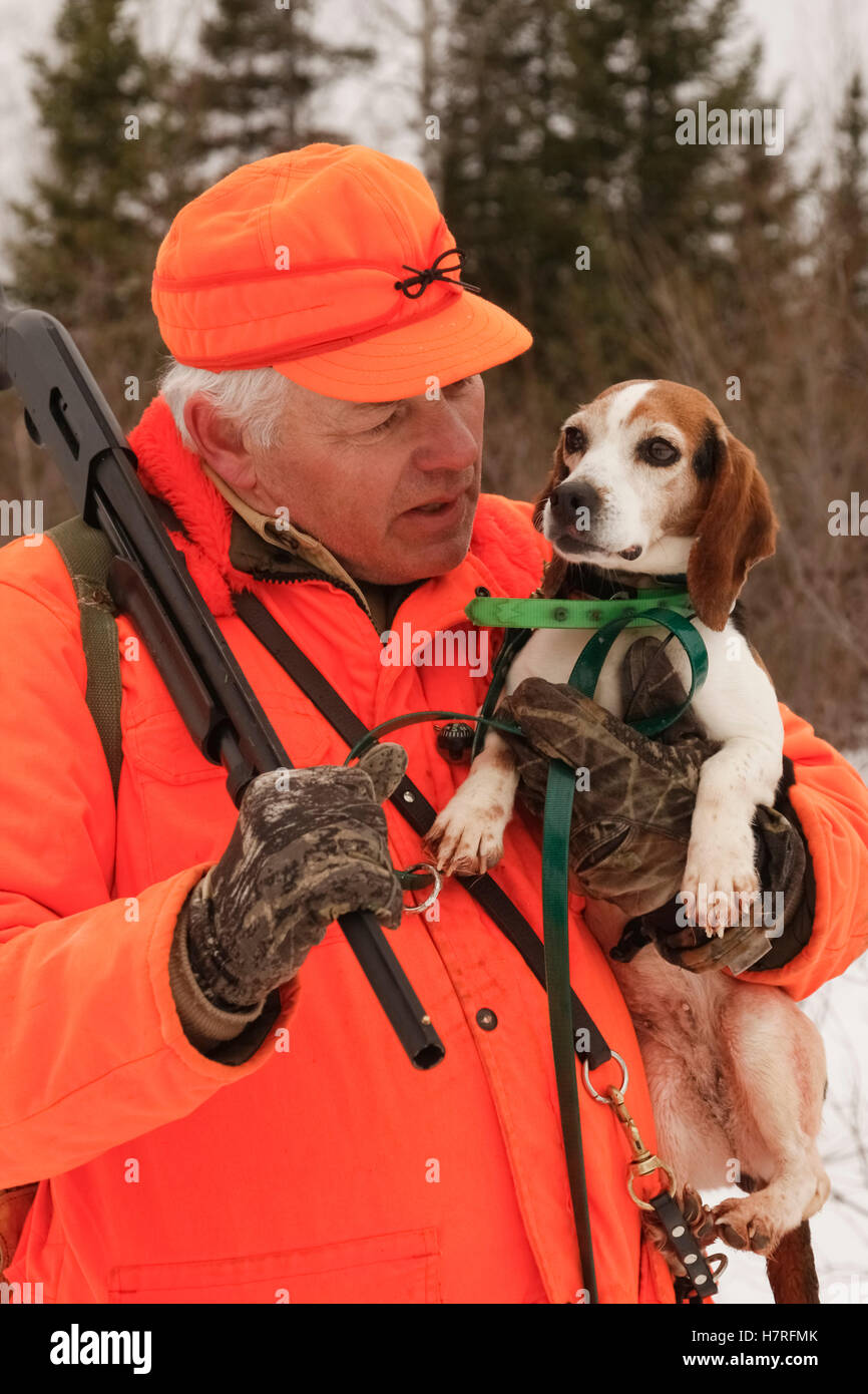 Schneeschuh-Hasen Jäger Holding Beagle Stockfoto