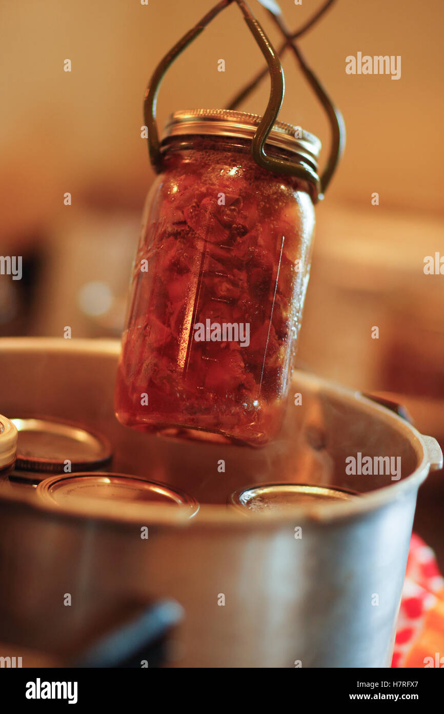 Wildfleisch wird für die Zubereitung von Wildfleisch in Dosen Stockfoto