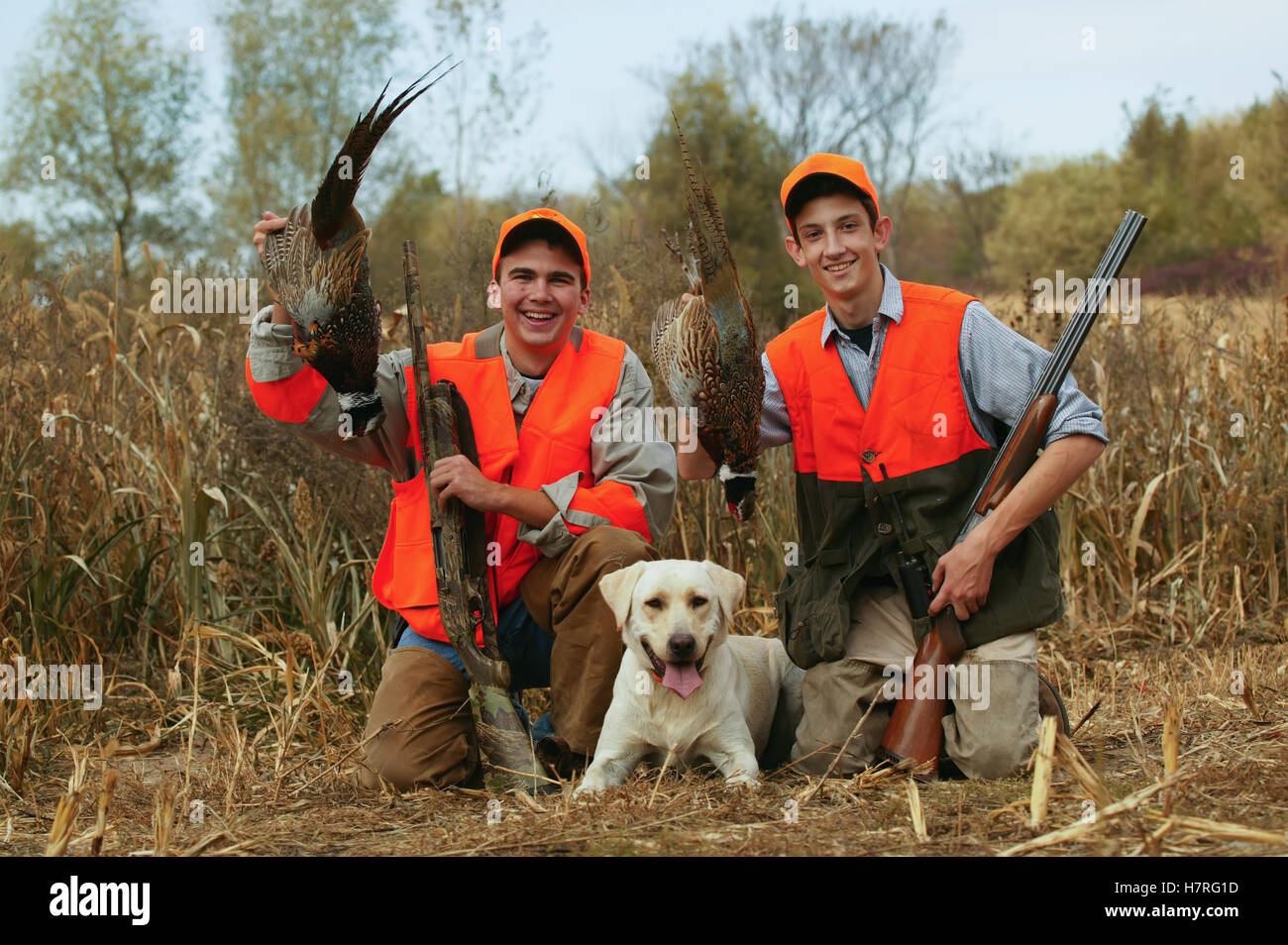 Jugend männlich Upland Jäger mit Fasan und gelber Labrador Stockfoto