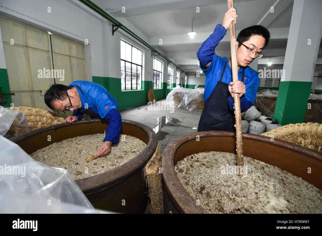 Shaoxing, China Zhejiang Provinz. 8. November 2016. Arbeiter aufwühlen Reis für das Brauen gelben Reiswein in einer Brauerei in der ostchinesischen Provinz Zhejiang, Shaoxing 8. November 2016. Als Winter-Ansätze und die Temperatur fällt geht es um die beste Zeit des Jahres für das Brauen gelben Reiswein in Shaoxing. Mit einer Geschichte von mehr als 2.500 Jahren entsteht Shaoxing Reiswein noch mit traditionellen Methode des Brauens, die im Jahr 2006 als einer nationalen immateriellen Kulturerbes aufgenommen wurde. © Xu Yu/Xinhua/Alamy Live-Nachrichten Stockfoto