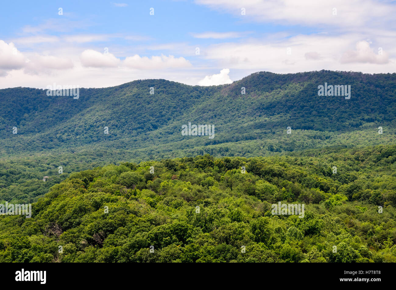 Shenandoah River State Park Stockfoto