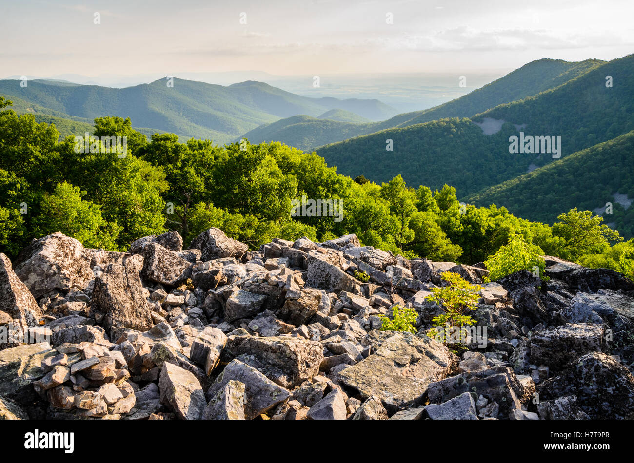 Shenandoah-Nationalpark Stockfoto