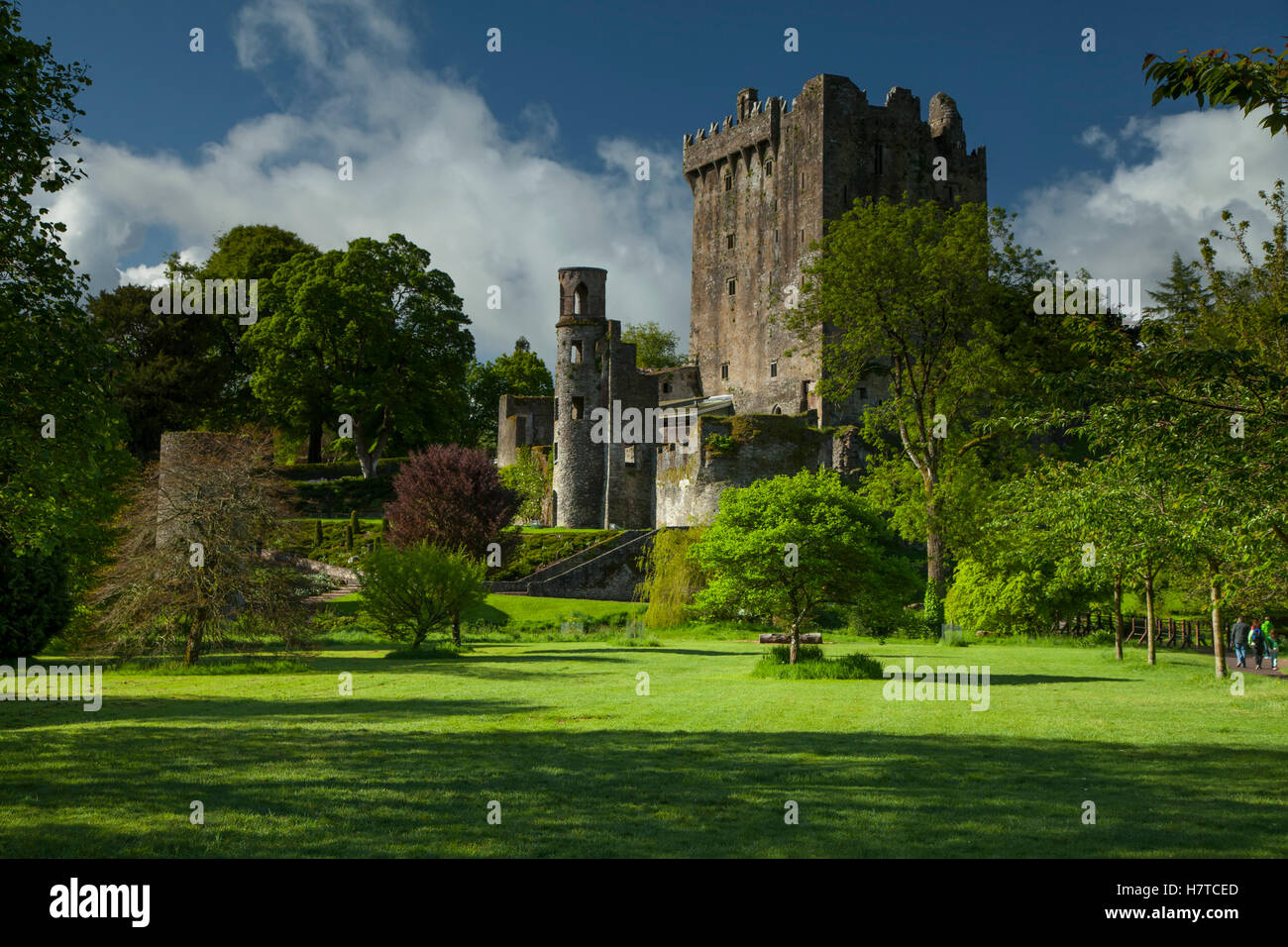 Blarney Castle; County Cork, Irland Stockfoto