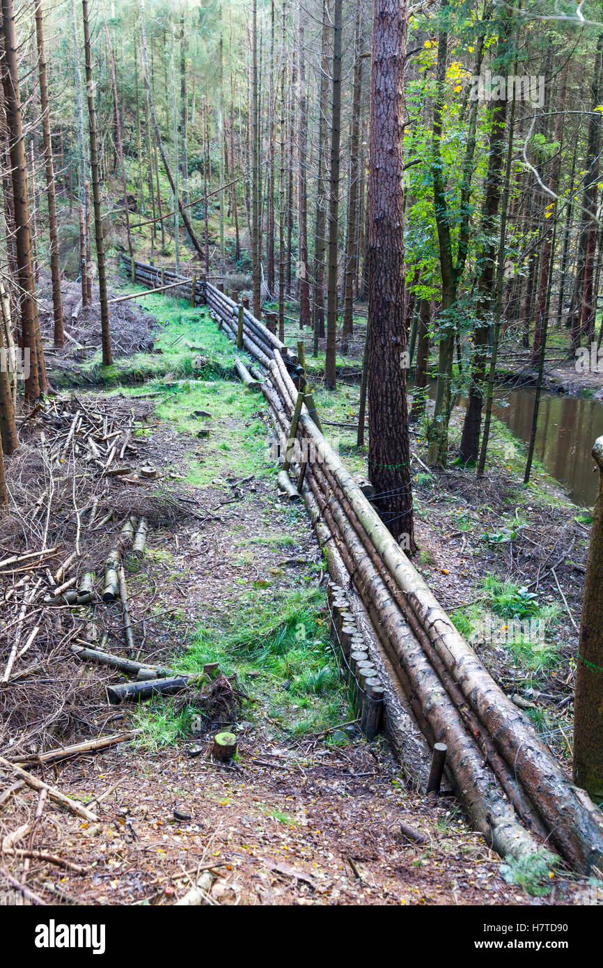 Woody-Trümmer Dämme für natürliche Flut Risikominderung, Pickering, England Stockfoto