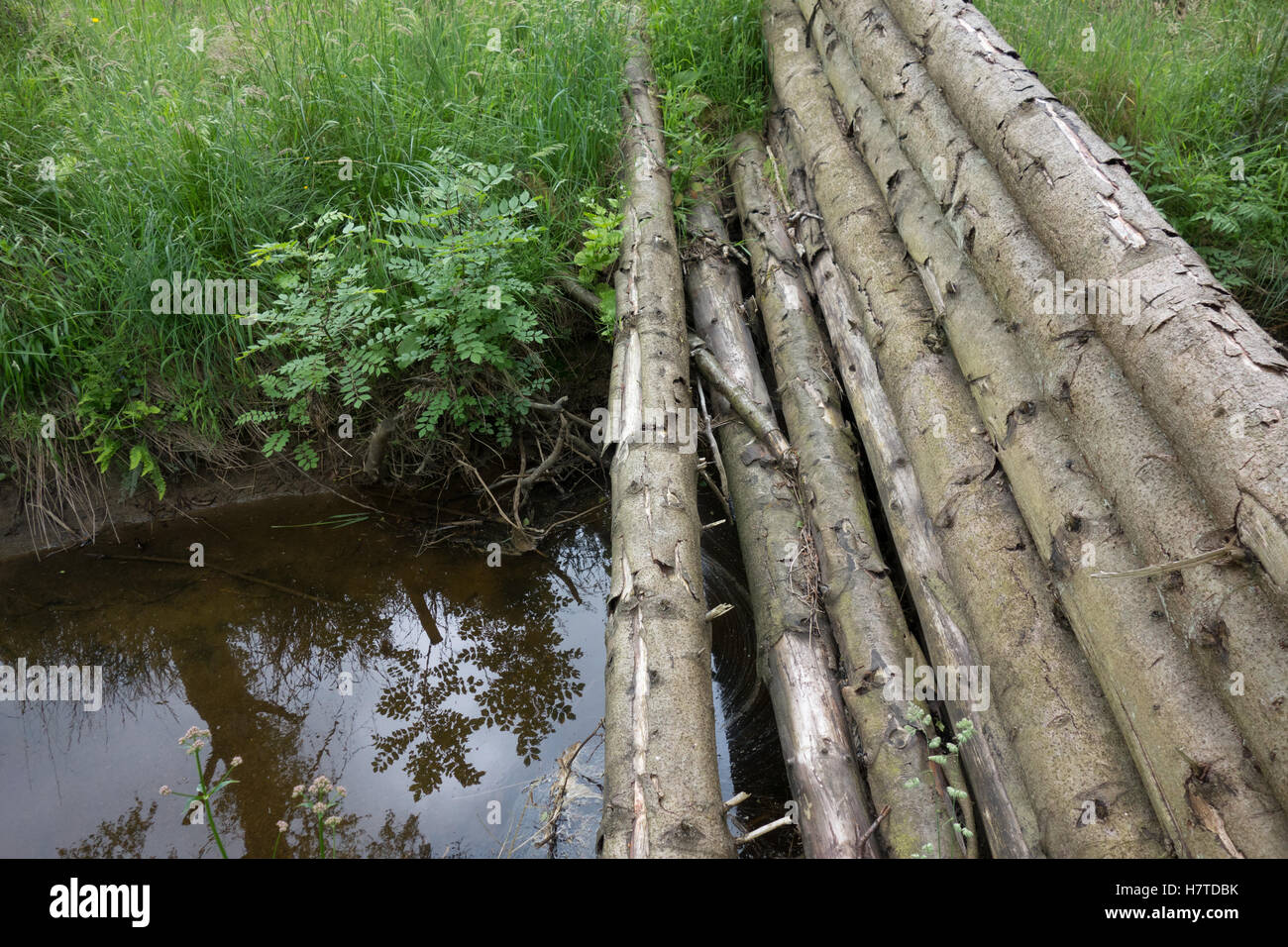 Woody-Trümmer Dämme für natürliche Flut Risikominderung, Pickering, England Stockfoto