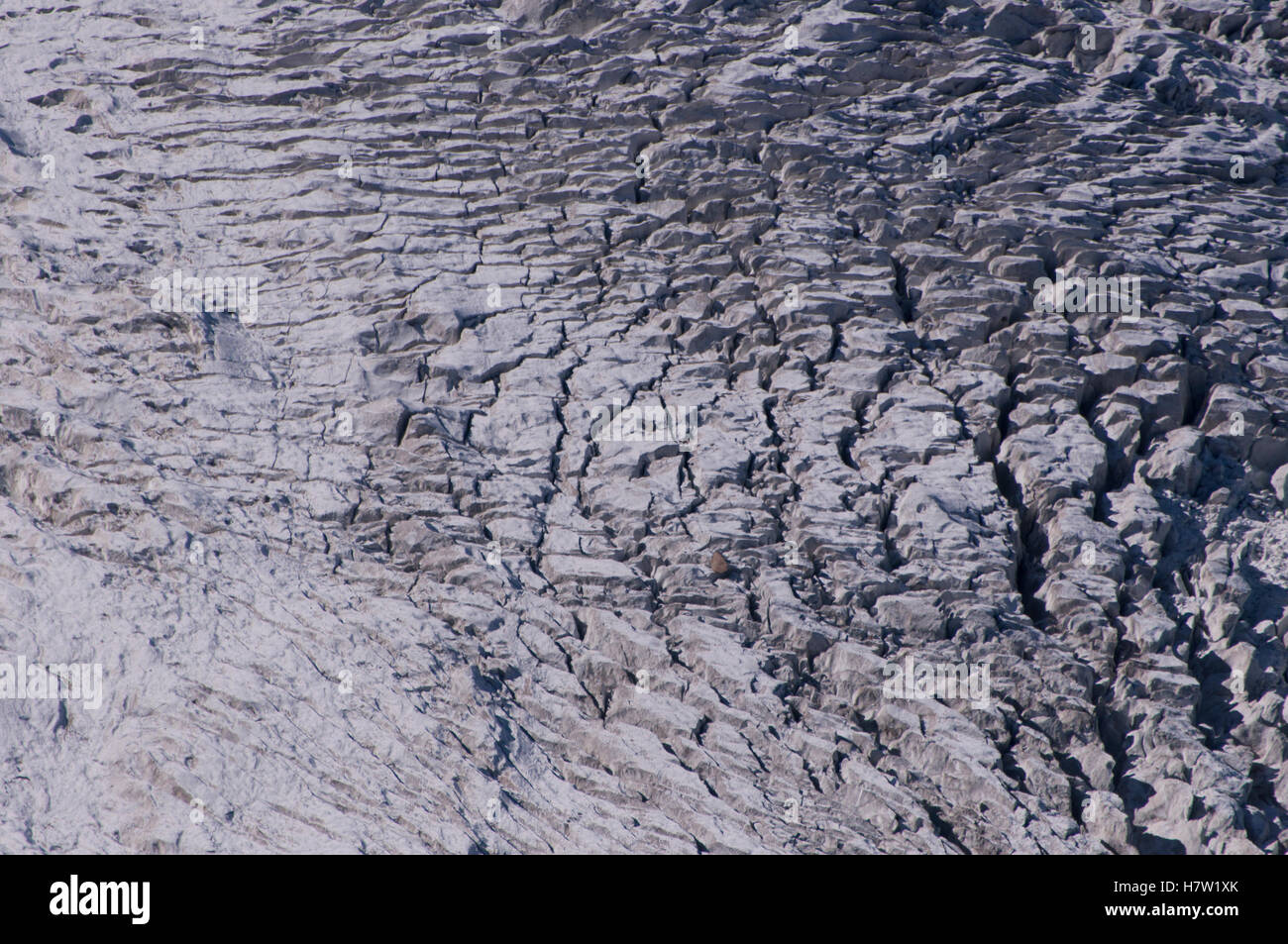 Gletscherspalten des Glacier des Bossons, Chamonix-Mont-Blanc, Frankreich Stockfoto