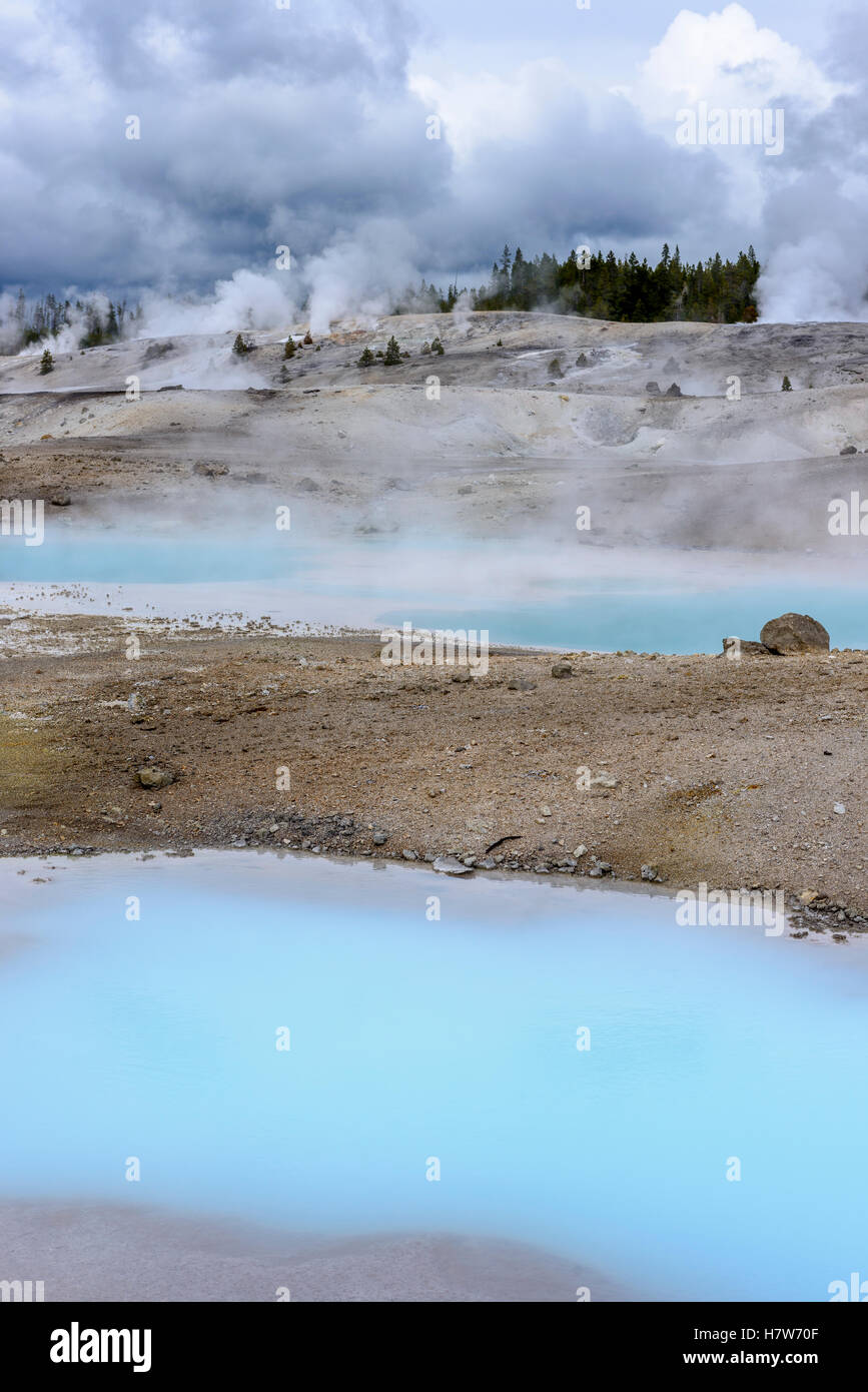 Porzellan-Becken Bestandteil der Norris-Geysir-Becken im Yellowstone National Park. Stockfoto