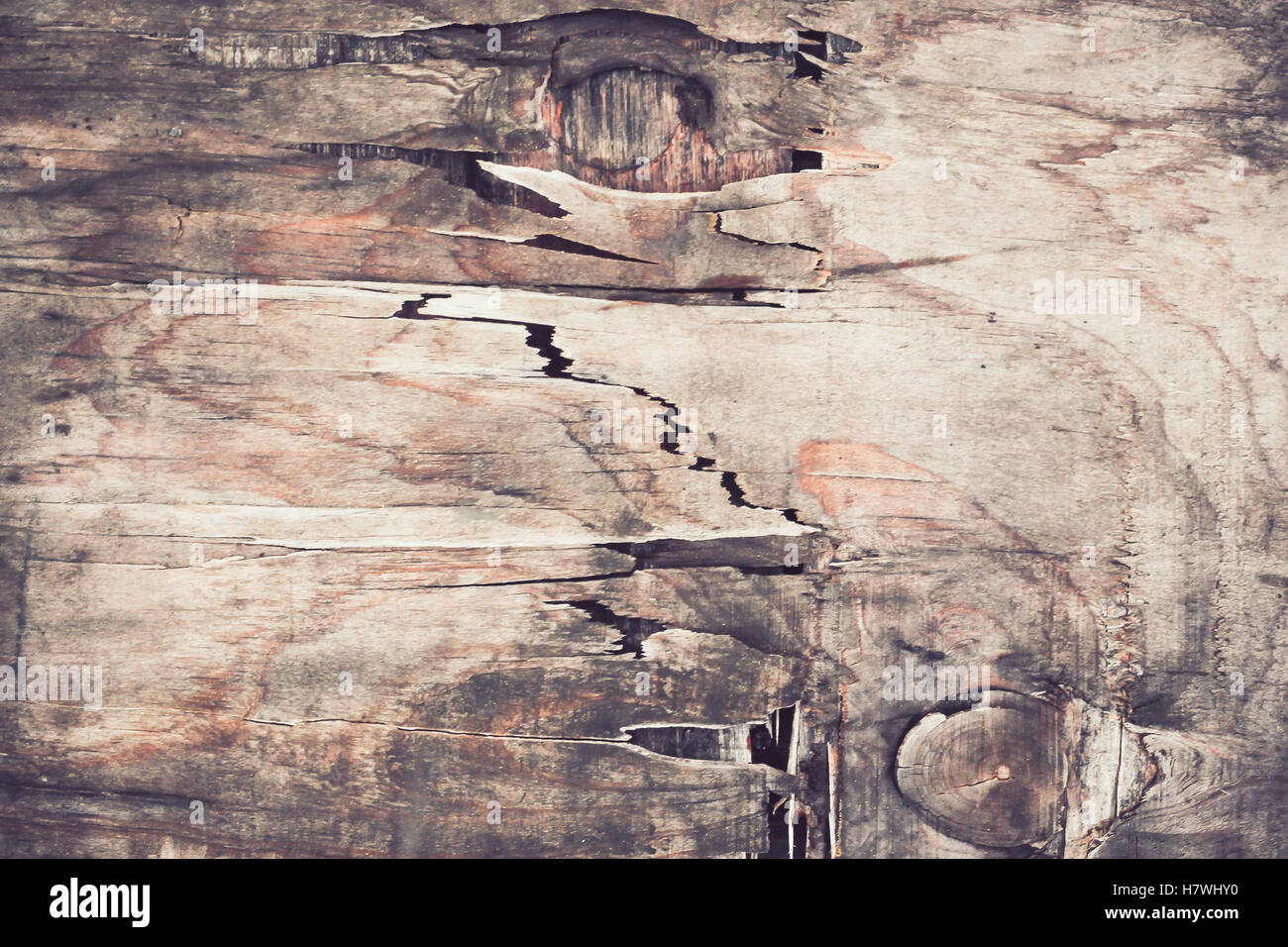 Altes Holz geknackt Hintergrund, geschwollene Schaden Stockfoto