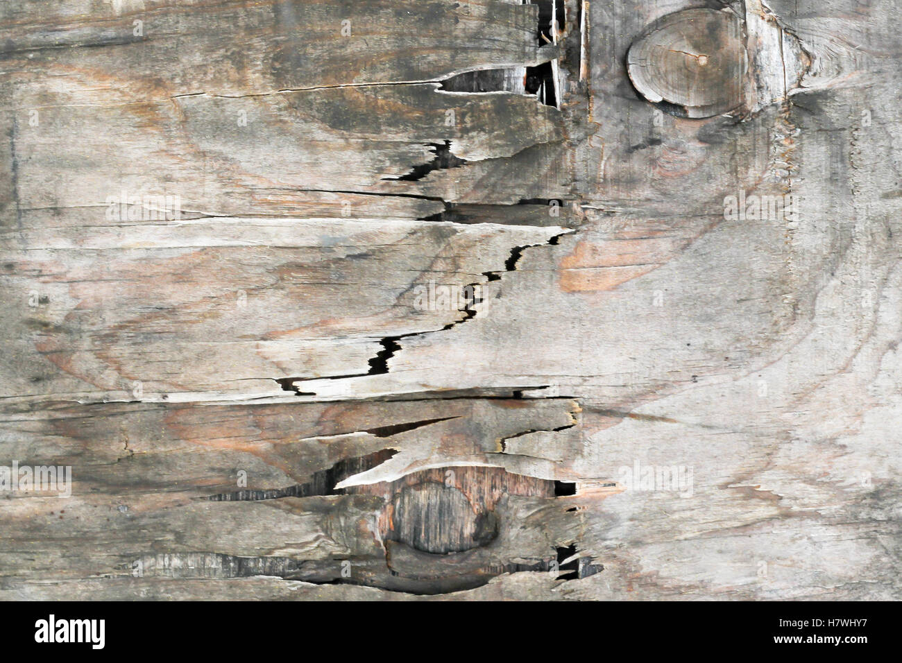 Altes Holz geknackt Hintergrund, geschwollene Schaden Stockfoto