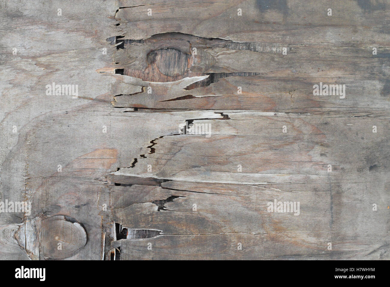 Altes Holz geknackt Hintergrund, geschwollene Schaden Stockfoto