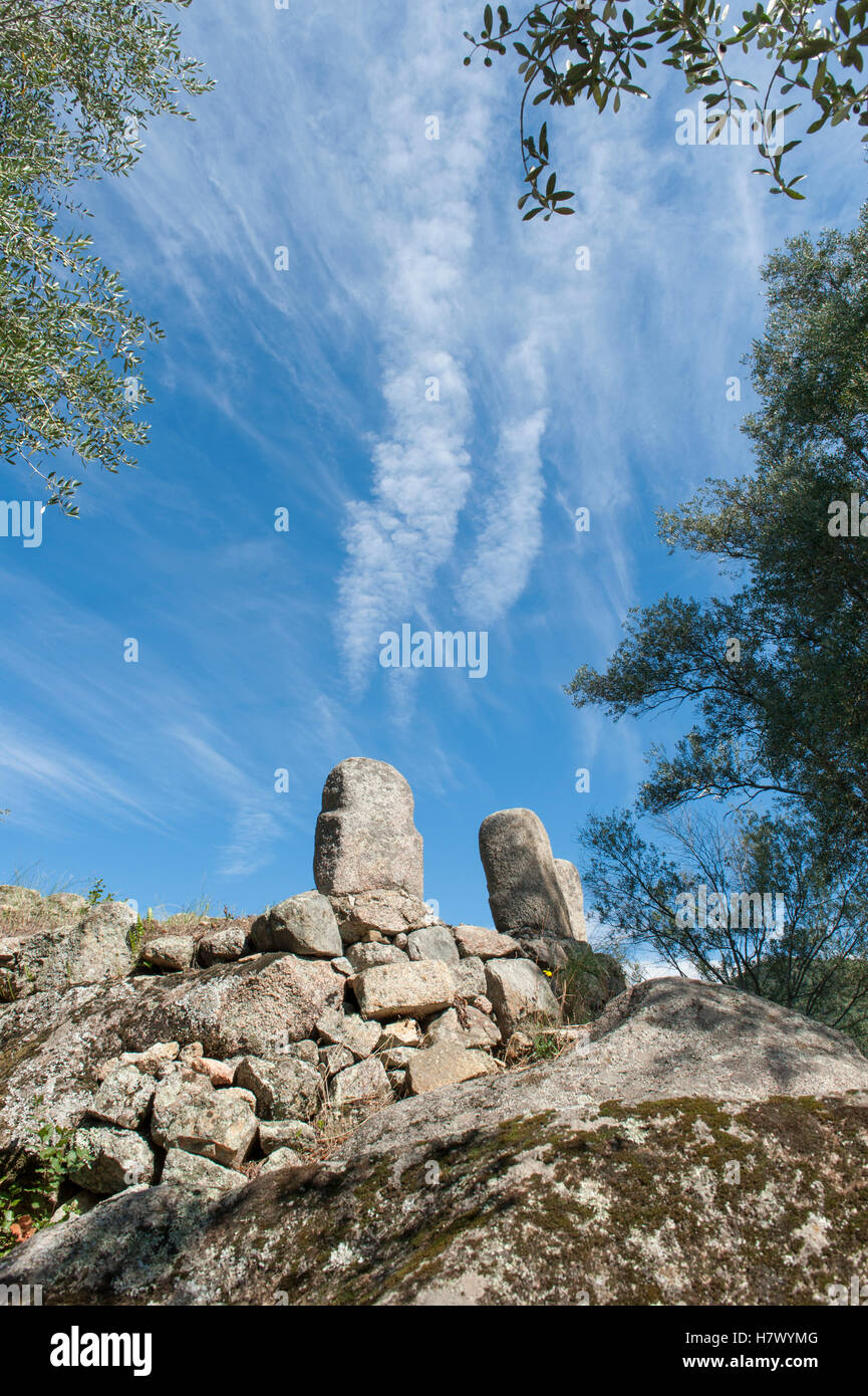 Filitosa, die prähistorische Hauptstadt Korsikas, verfügt über Dolmen, Menhire und Torrean Relikte aus der megalithischen Zeit, Frankreich Stockfoto