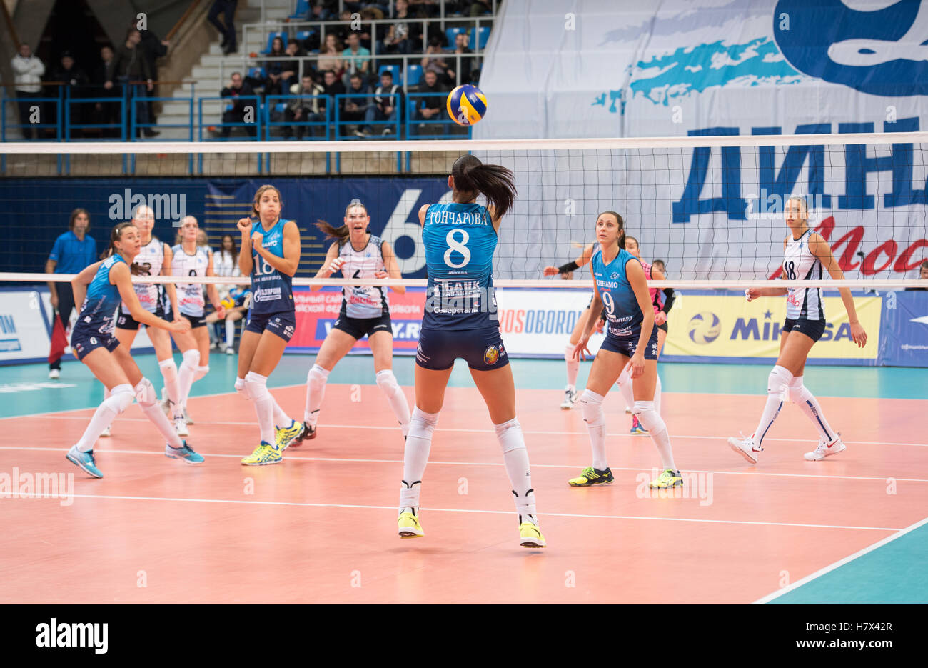 Moskau - 2. November 2016: N. Gontscharowa (8) Angriff auf Spiel Dynamo MSK Vs Dynamo KZN auf russischen nationalen freilegtes Volleyballturnier am 2. November in Moskau, Russland, 2016 Stockfoto