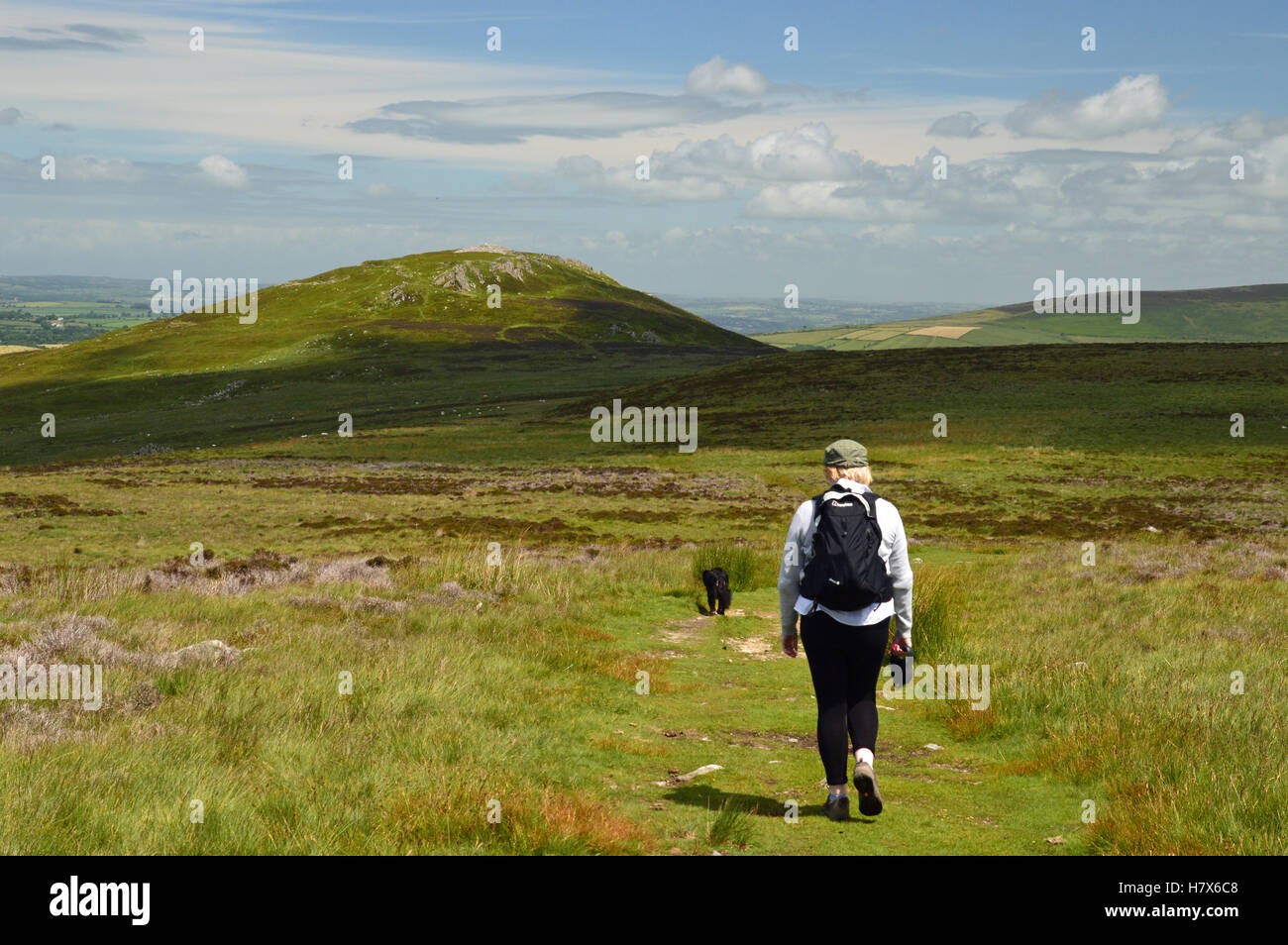 Wandern in den Preseli-Berge, Pembrokeshire, Wales Stockfoto