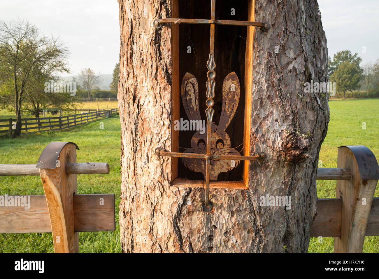 Hase in einem Baumstamm in einem Feld Ausschneiden Stockfoto