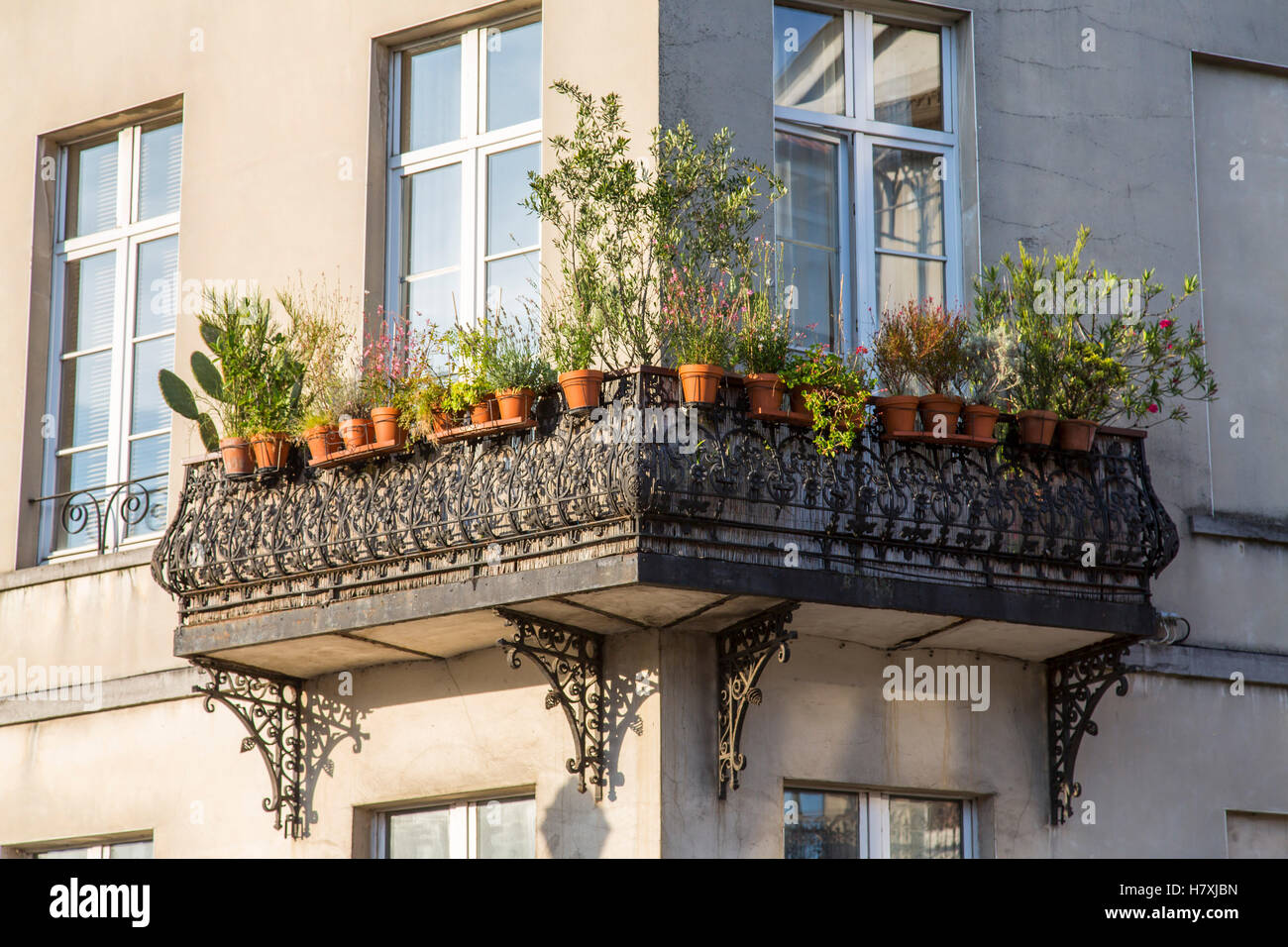 Brüssel, Belgien, Balkon mit vielen Topfpflanzen, Stockfoto