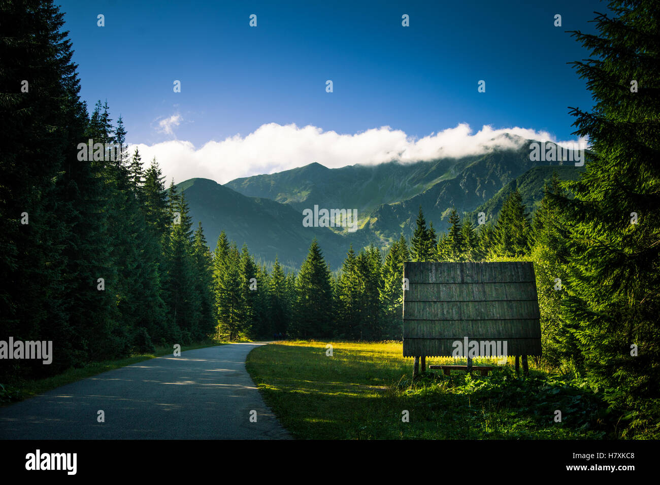 Eine schöne Berglandschaft Tatry Stockfoto