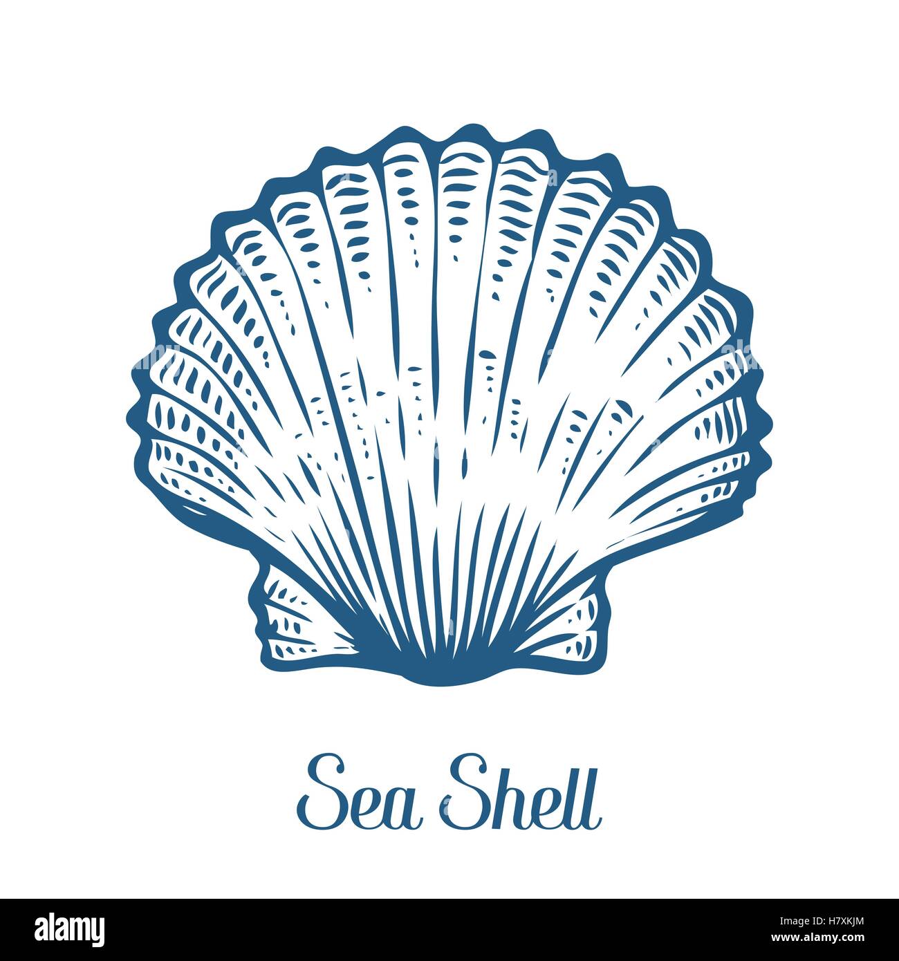 Muschel, Muschel, Natur Ozean aquatische Unterwasser Vektor. Hand gezeichnet Marine Gravur Abbildung auf weißem Hintergrund Stock Vektor