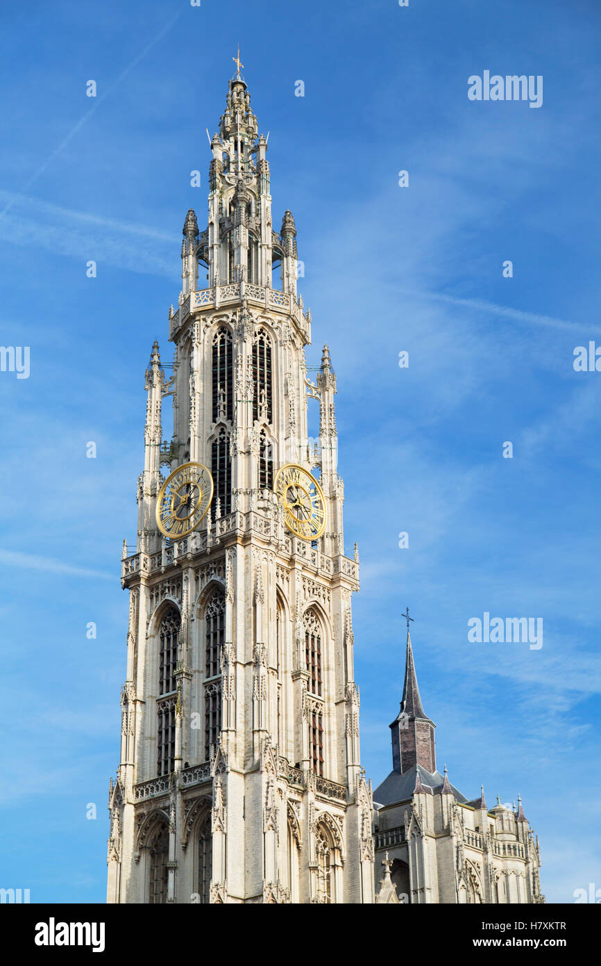 Onze-Lieve-Vrouwe Kathedrale, Antwerpen, Flandern, Belgien Stockfoto