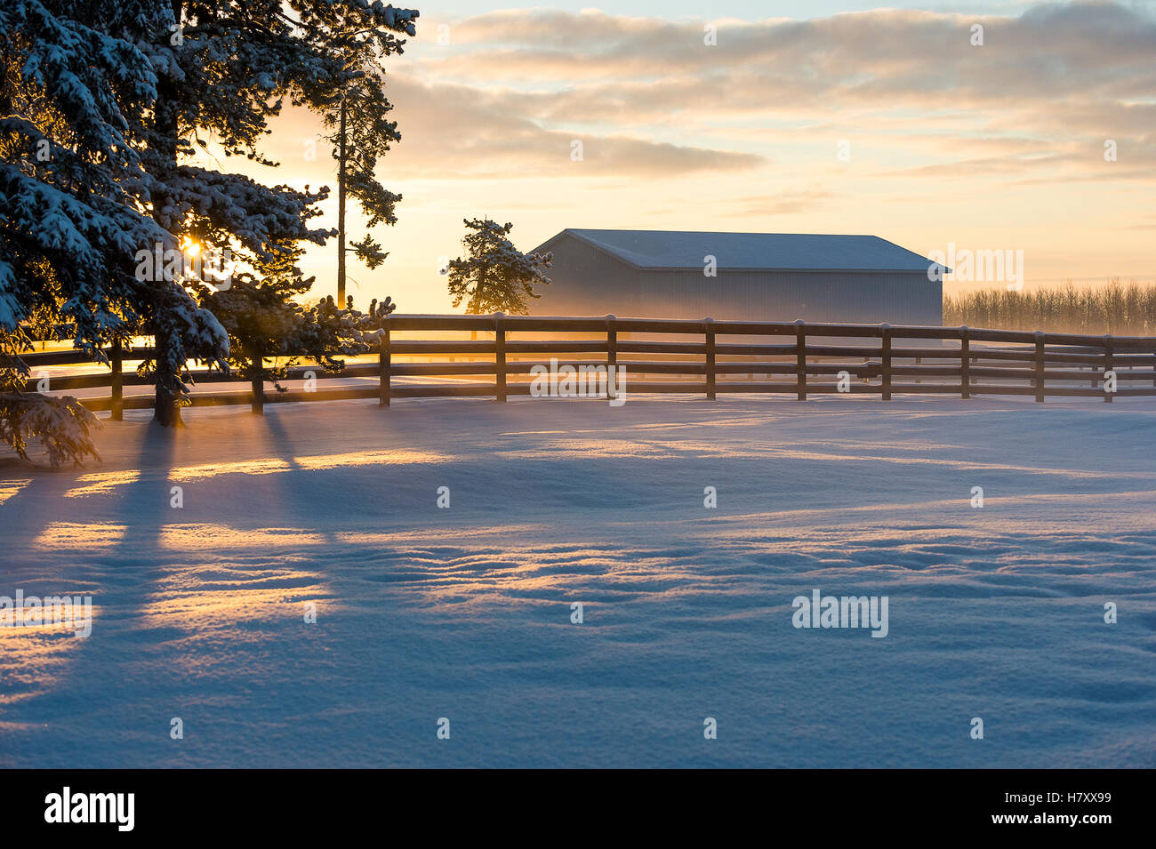 Winter-Sonnenaufgang auf einer Ranch; Cremona, Alberta, Kanada Stockfoto