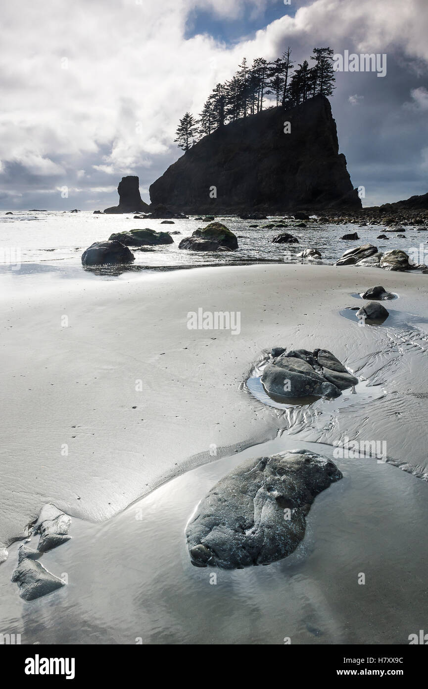 Felsen am zweiten Strand, Olympic Nationalpark; Washington, Vereinigte Staaten von Amerika Stockfoto