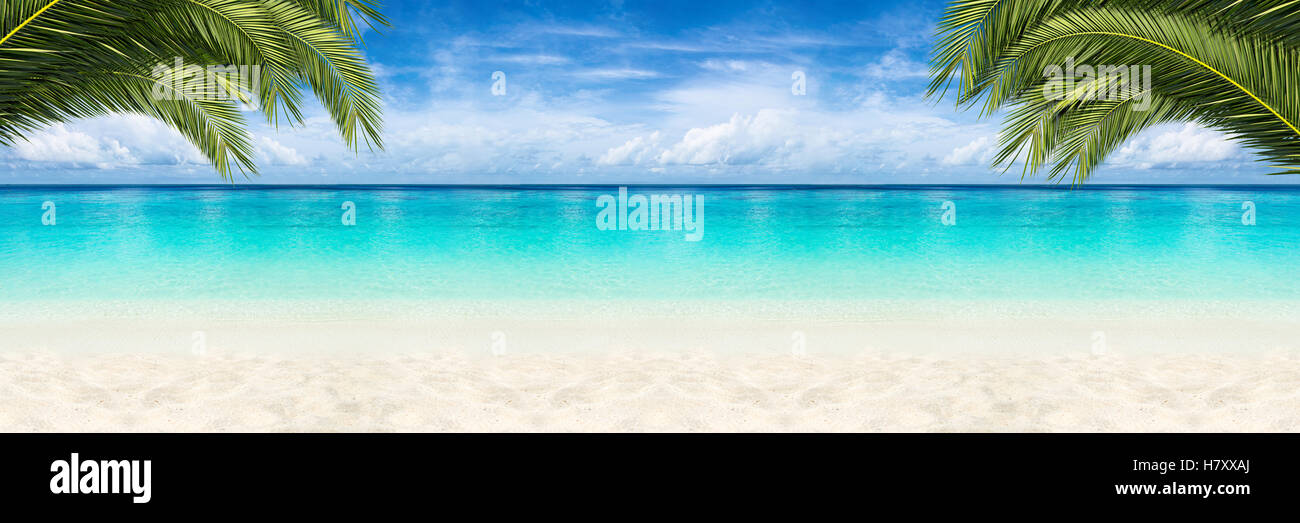Breite Paradies Strand Panorama Hintergrund mit Kokospalmen Stockfoto