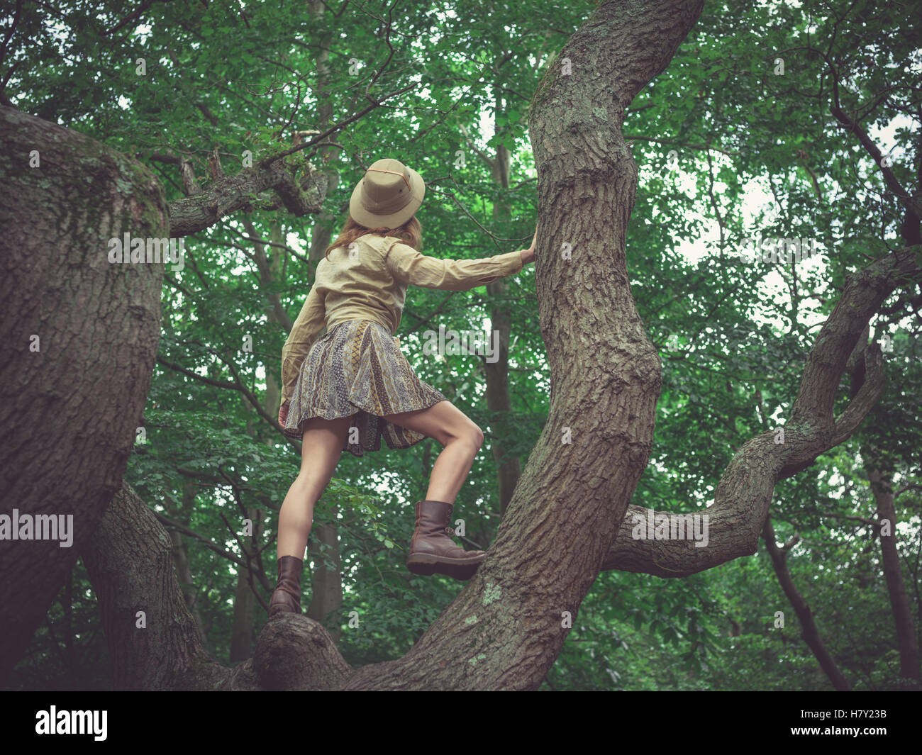 Eine junge Frau, die einen Safari Hut klettert einen Baum im Wald Stockfoto