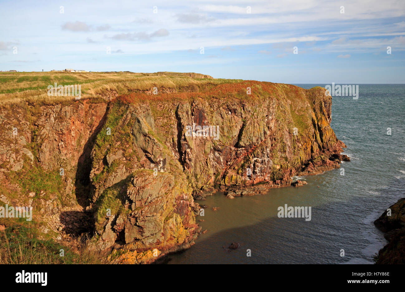 Ein Blick auf die Klippen von der Bullers von Buchan, Aberdeenshire, Schottland, Großbritannien, Europa. Stockfoto