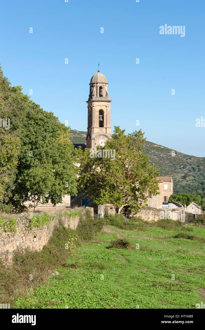 Église Saint-Nicolas, das Wahrzeichen Kirche von der kleinen Balagne Dorf Feliceto, Haute-Corse, Frankreich Stockfoto