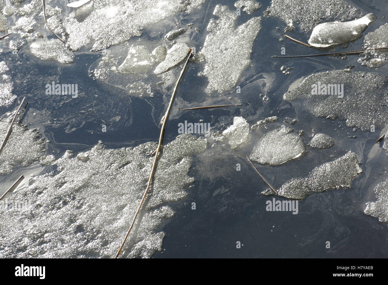 Eis in der Newa in Sankt Petersburg Stockfoto