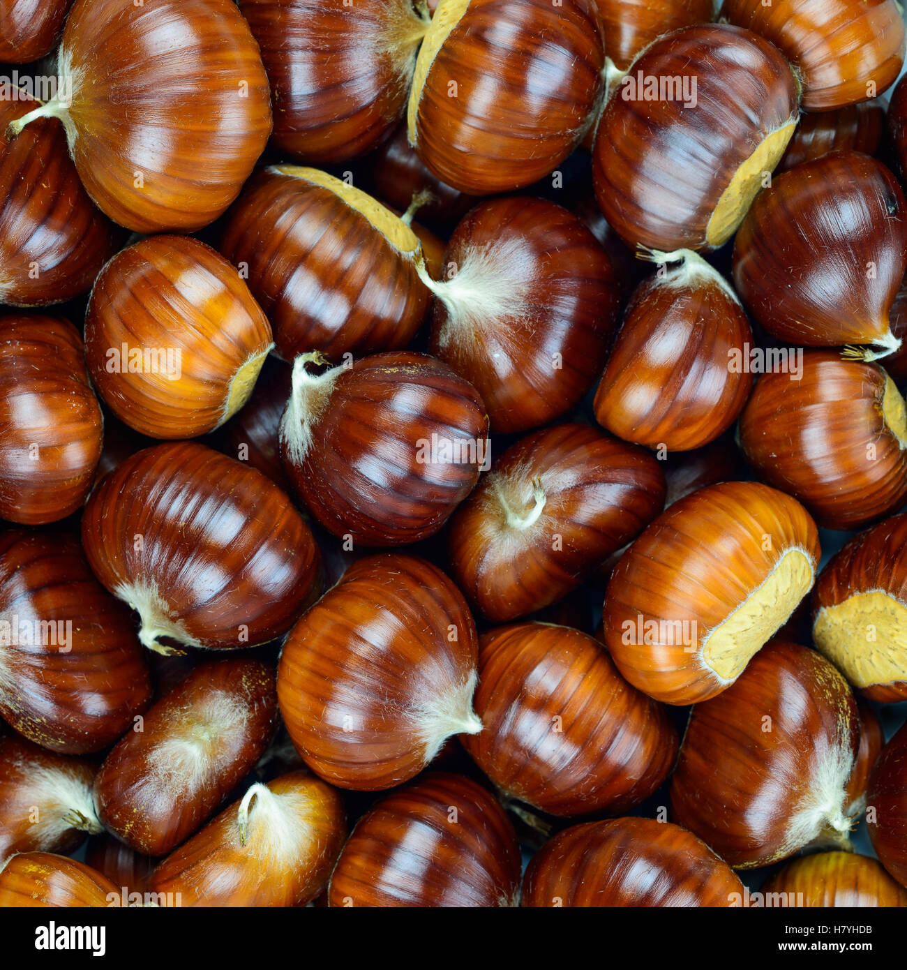 Kastanien im Herbst Rohkost, Hintergrundbild Textur Muster Stockfoto