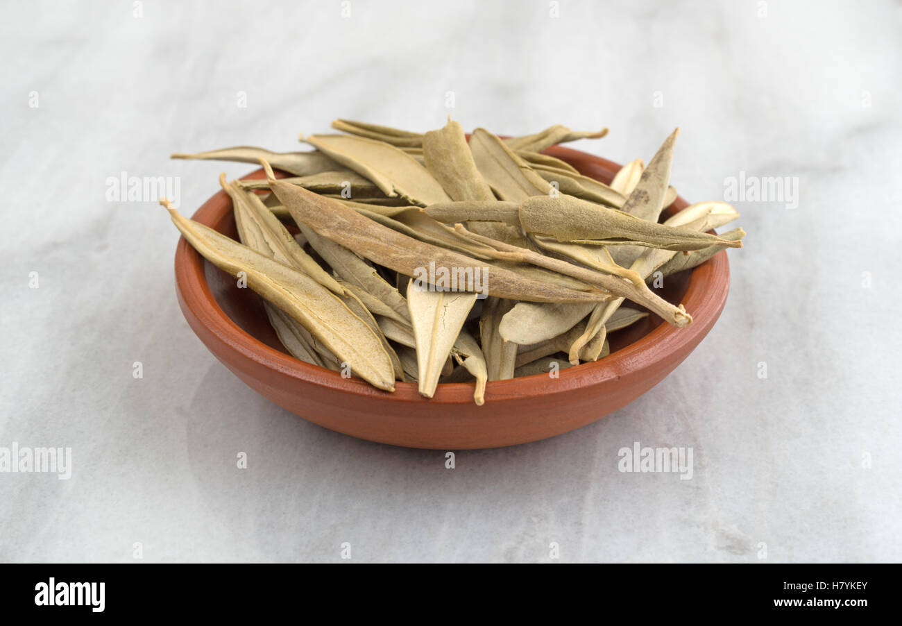 Getrocknete Bio Olive Blätter in einer Schüssel auf einem grauen Marmortisch. Stockfoto