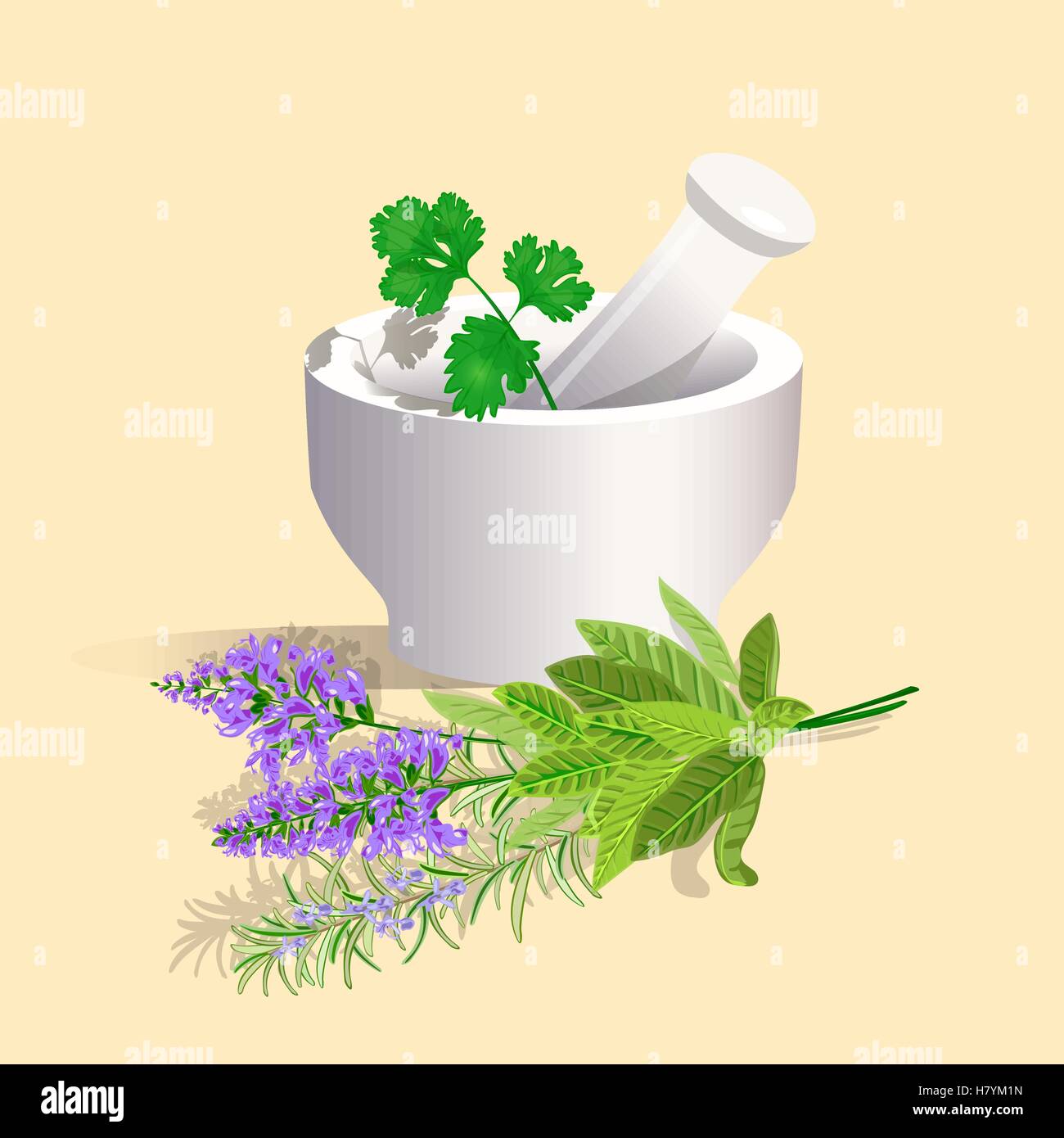 Mörser und Stößel mit Kräutern. Vektor-Illustration. Stock Vektor