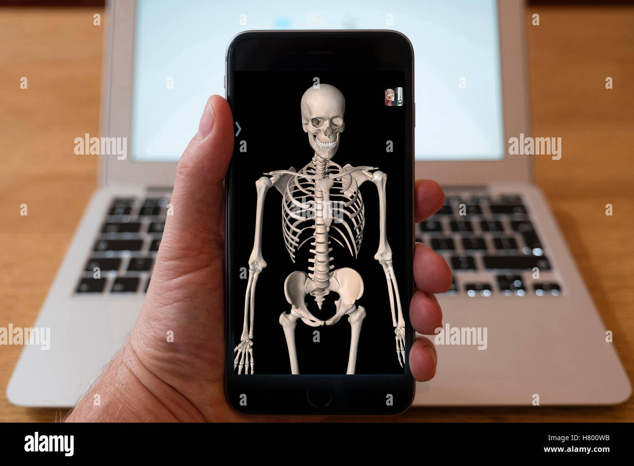 Mit iPhone Smartphone zum 3D Bild des menschlichen Skeletts aus Anatomie medizinische Ausbildung app anzeigen Stockfoto