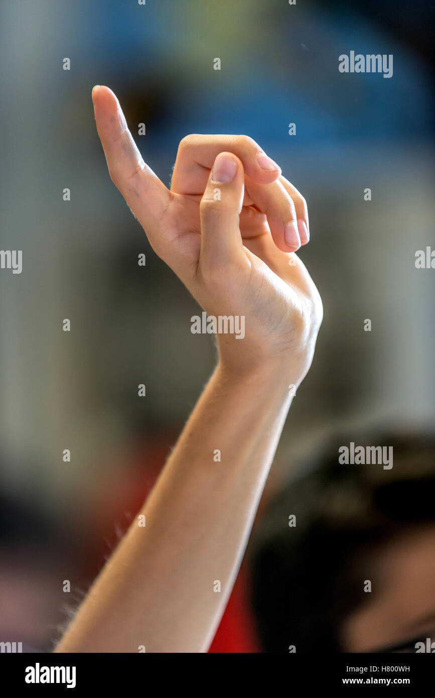 Kinder heben ihre Hände in der Klasse eine Frage des Lehrers. Stockfoto