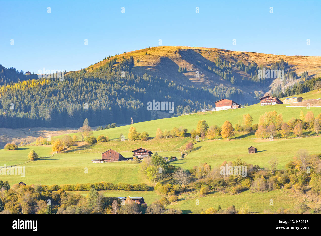 Mittersill: Bauernhäuser im Salzachtal, Berg Kitzbüheler Alpen, Pinzgau, Salzburg, Österreich Stockfoto