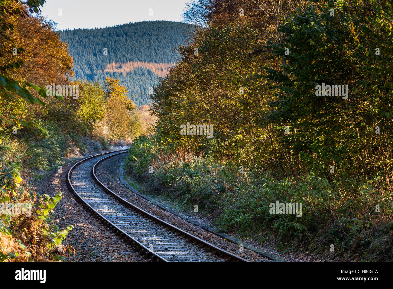 Die eingleisige Heart of Wales-Bahnstrecke in der Nähe von Cynghordy, Carmarthenshire, Wales Stockfoto