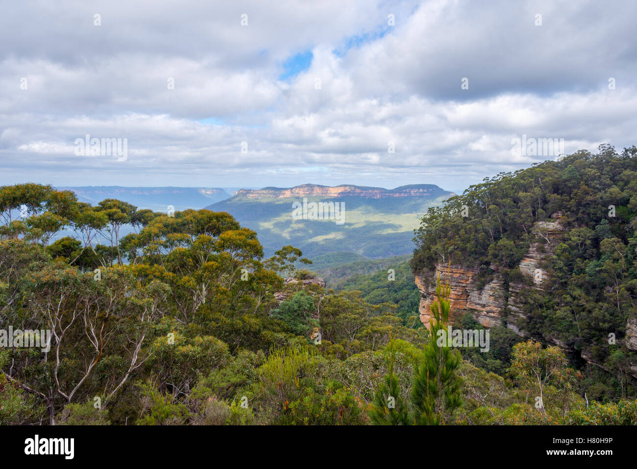 Blick über Blue Mountains National Park, Australien Stockfoto