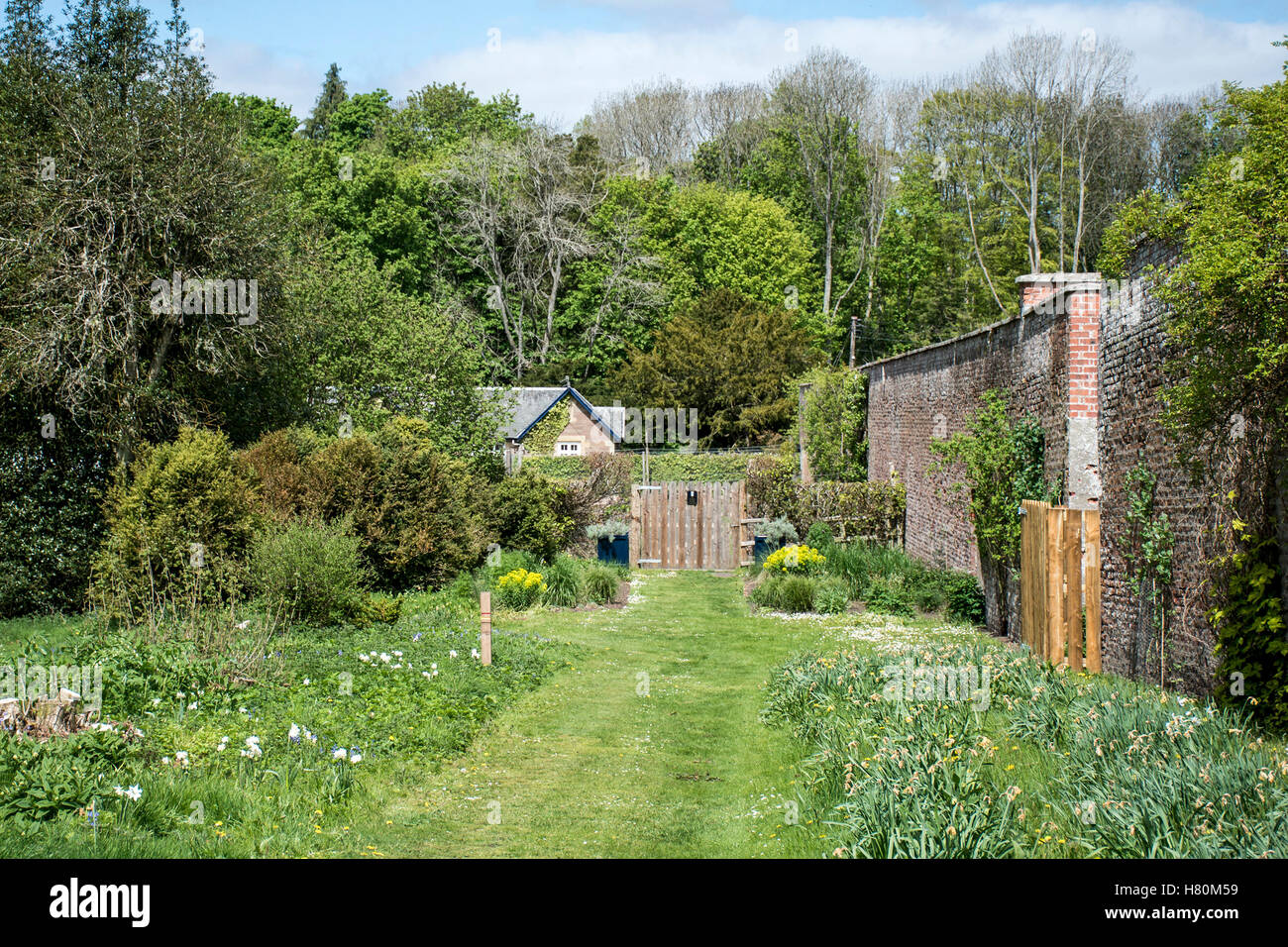 Landschaft und Park Wald Schottland Great Britain Scone Palace Stockfoto