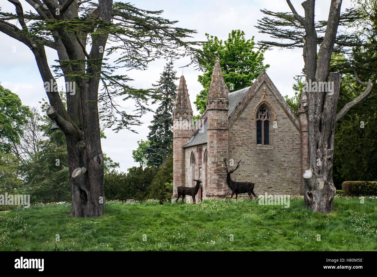 Landschaft und Park Wald Schottland Great Britain Scone Palace 3 Stockfoto