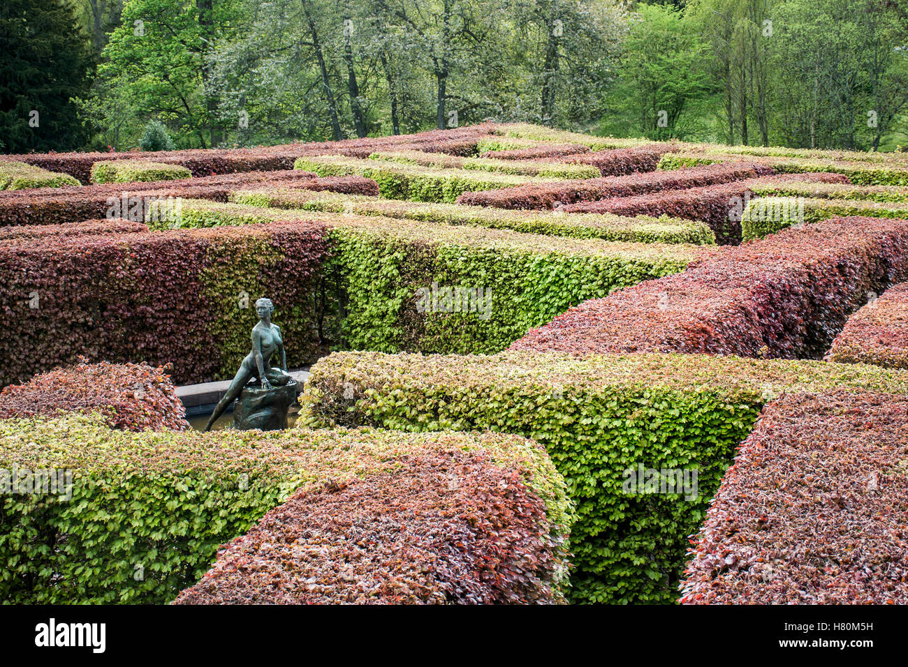 Landschaft und Park Wald Schottland Great Britain Scone Palace 4 Stockfoto