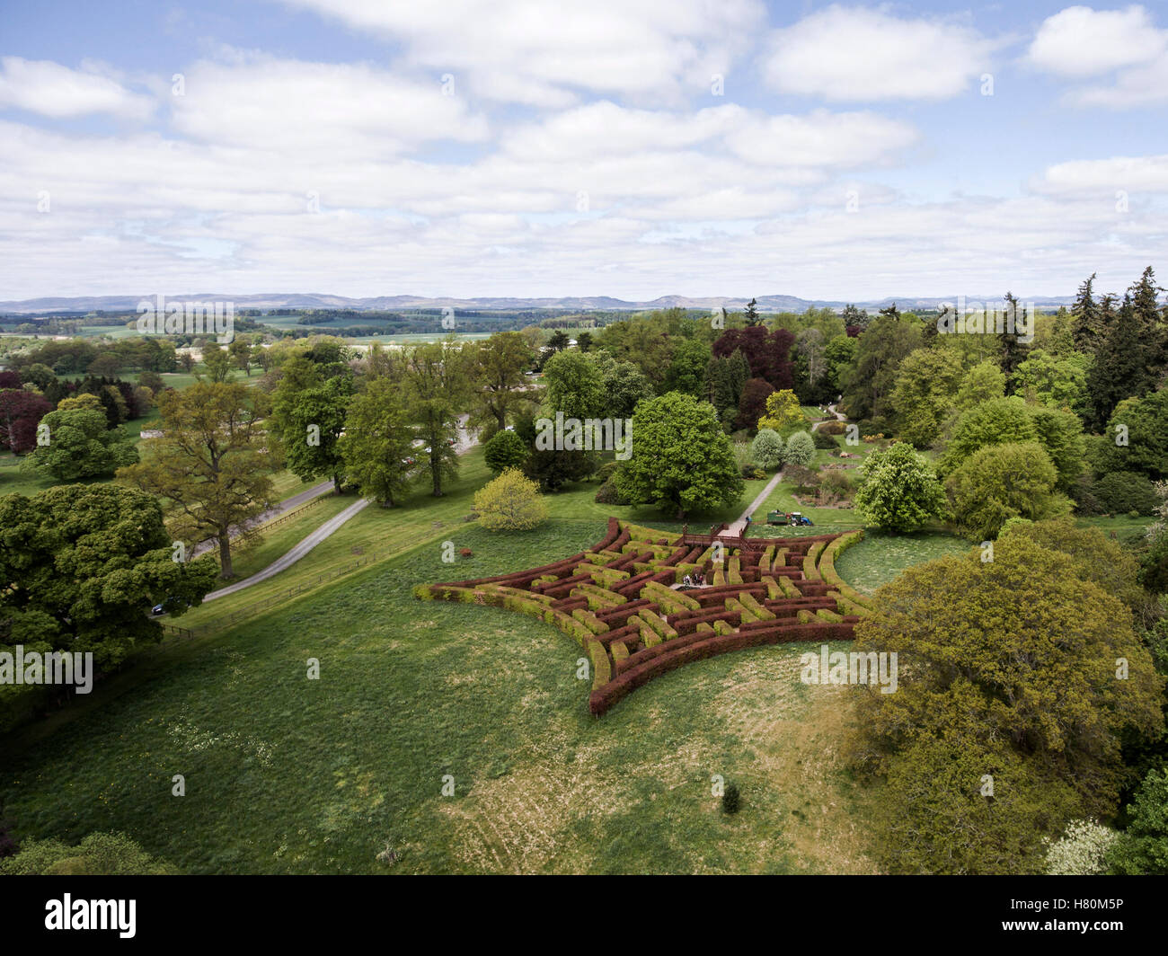 Satellitenaufnahmen Schuss ein Labyrinth Park in einem Wald Landschaft Schloss Schottland Großbritannien Stockfoto