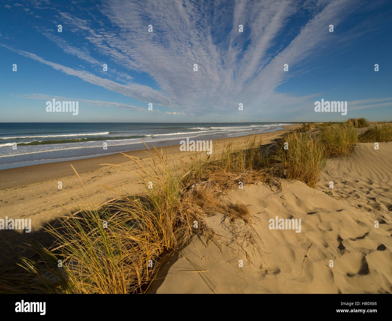 Die Atlantikküste von der Ile d'Oléron in den frühen Stunden von dem Gipfel der Düne gesehen. Stockfoto