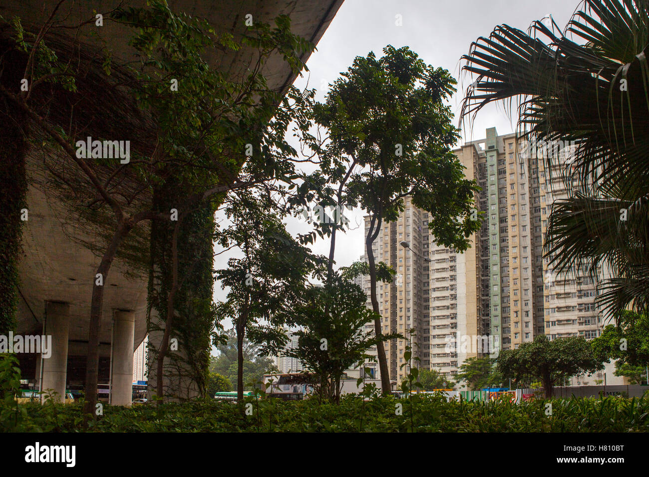 Hong Kong, China. Hohen Wolkenkratzern mitten in der Stadt Stockfoto