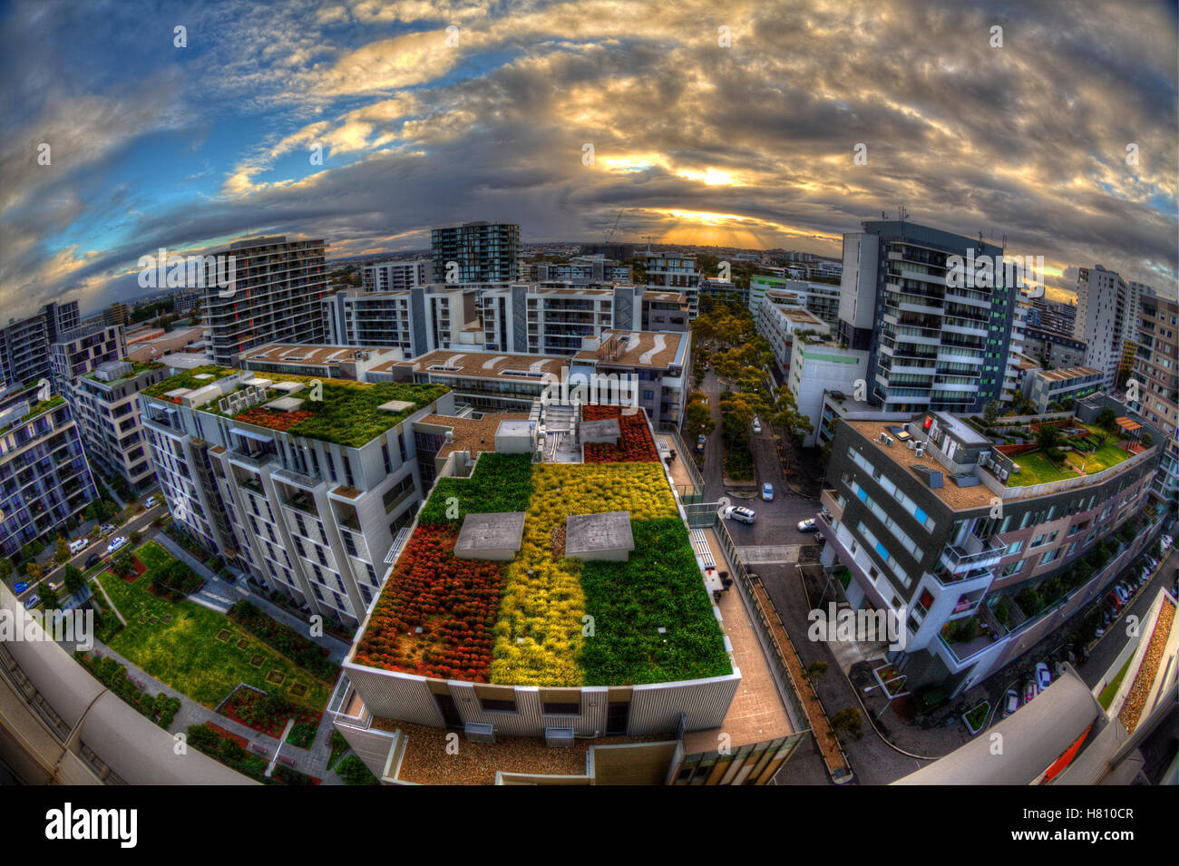 Sidney Australia, über aussehende Dächer mit Gärten Stockfoto