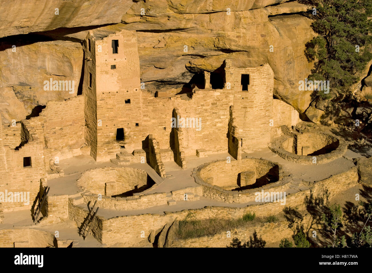 Indianische Ruinen, Mesa Verde Nationalpark, Colorado Stockfoto