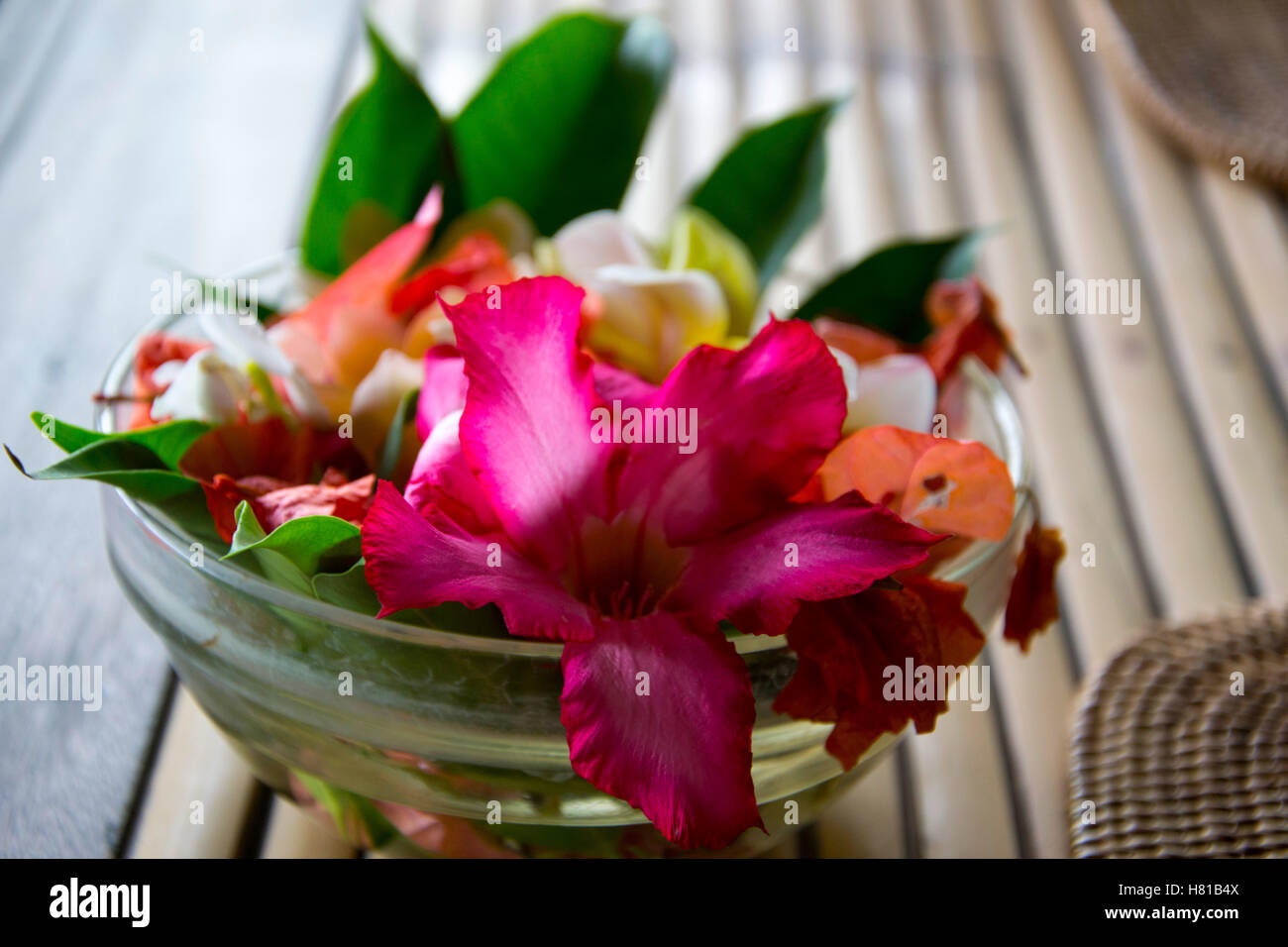 schöne Dekoration mit Blumen Stockfoto